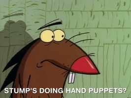 angry beavers nicksplat GIF