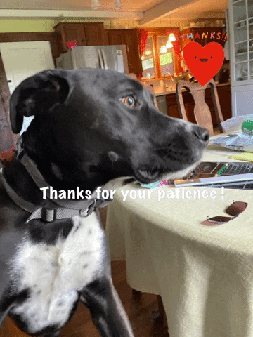 Nanni54 giphyattribution thanks for your patience GIF