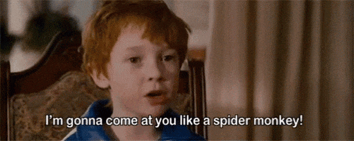 Talladega Nights GIF by memecandy