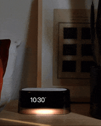 Loftie loftie GIF