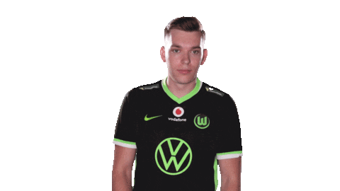 E Sports Sport Sticker by VfL Wolfsburg