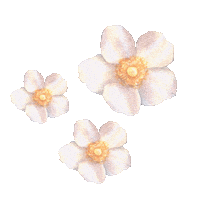 Beige Sticker
