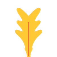 GIF by Slanted Studios