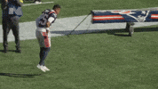 Football Nfl GIF by New England Patriots