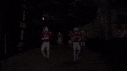 Football Nfl GIF by New England Patriots
