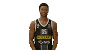 Partizan Sticker by sportmts