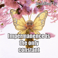 Cherry Blossoms Love GIF by BuddhaFlyJourney