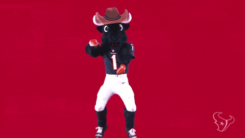 Hat Texas GIF by Houston Texans