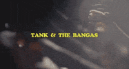 nice things GIF by Tank and The Bangas