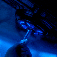 2020 GIF by netflixlat