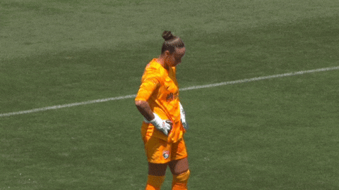 Womens Soccer Kick GIF by National Women's Soccer League