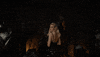 season 8 hbo GIF by Game of Thrones