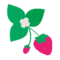 tuiproducts gardening tuigarden myprideofplace gardeningnz Sticker
