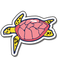 cebu city summer Sticker by Sun