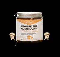 DrVims mushroom plantbased mushrooms adaptogens GIF