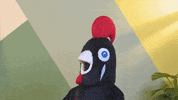 Bath Reaction GIF by Nando's Malaysia