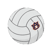 War Eagle Sport Sticker by Auburn Tigers