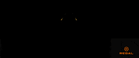 Regal Cinemas GIF by Regal