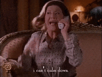 season 2 netflix GIF by Gilmore Girls 