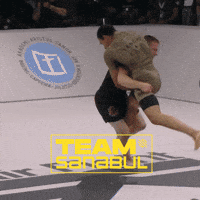 Mma Bjj GIF by Sanabul