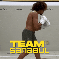Mma GIF by Sanabul