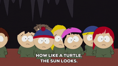 stan marsh turtles GIF by South Park 
