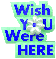 Wish You Were Here Sticker by ASOS