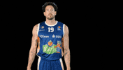 Basketball Sid GIF by Rostock Seawolves