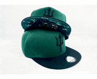 Capichecaps green black greek zeus GIF