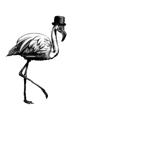 siredmondgin giphyupload cocktail gin flamingo Sticker