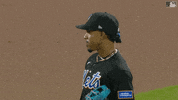 Happy Major League Baseball GIF by New York Mets