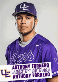 Purple Aces Baseball GIF by UE Athletics