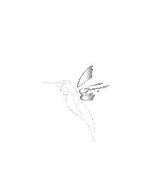 Ron Colibri Sticker by Appleton Estate Mex