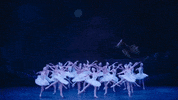 Swanlake GIF by English National Ballet