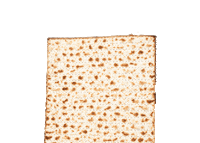 Happy Passover Sticker by Alma
