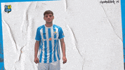 Celebration Yes GIF by ChemnitzerFC