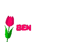 Ask Anne Sticker by SingerTurkiye