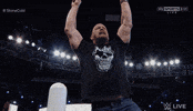 wwe raw GIF