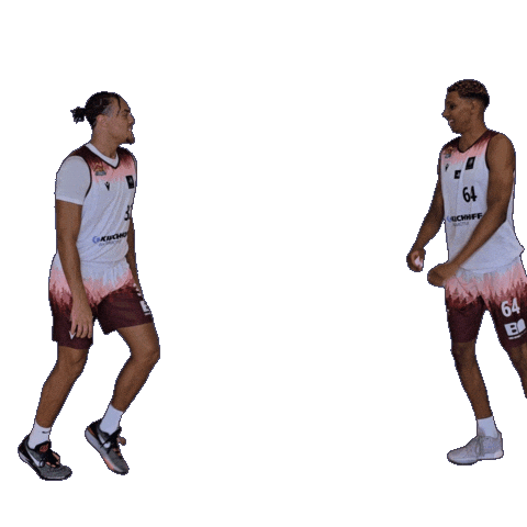 Basketball Winasone Sticker by Iserlohn Kangaroos