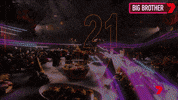 Celebrate Big Brother GIF by Big Brother Australia