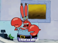 selling out season 4 GIF by SpongeBob SquarePants