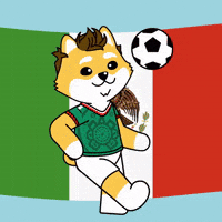 Vamos World Cup GIF by Dogelon Mars