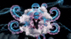 Weirdcore GIF by alecjerome