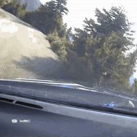 Locked In Seatbelt GIF by FIA World Rally Championship