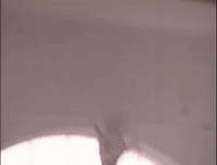 new edition if it isnt love GIF