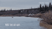 GIF by BALLS DEEP with Thomas Morton