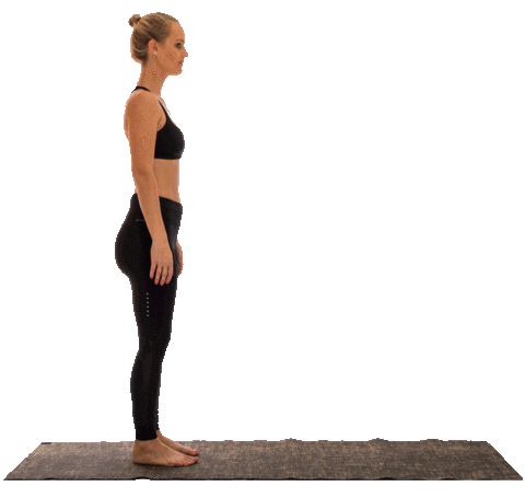 thesocialimpact giphyupload fitness workout yoga Sticker