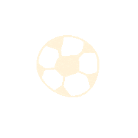 DeMakkers soccer voetbal schaijk demakkersschaijk Sticker