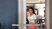Jersey Shore GIF by Jersey Shore Family Vacation