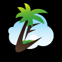 LifeFunr fun instagram life facebook GIF